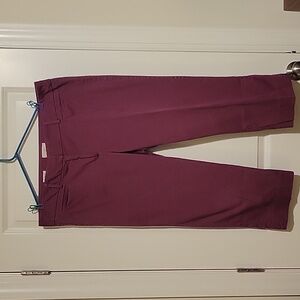 Loft Size 16 Plum Pants